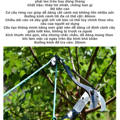 (Hàng Tốt) Kéo Cắt Cành Cây Hái Quả Trên Cao – Hàng Gia Công Làng Nghề Loại Tốt, Siêu Bén