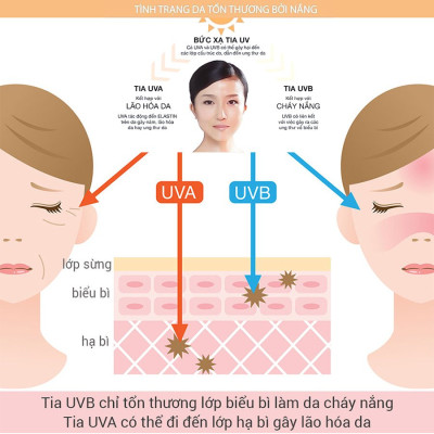Kem Chống Nắng VACCI Dành Cho Mặt & Toàn Thân - LUXE COLLECTION SUN CREAM SPF70 PA+++ 70ML