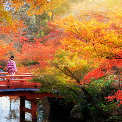 Bộ tranh xếp hình jigsaw puzzle cao cấp 1500 mảnh – Kyoto Vào Thu (60x100cm)