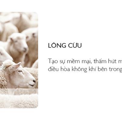 Nệm Bern 1.8m Jang In 1301700001-01