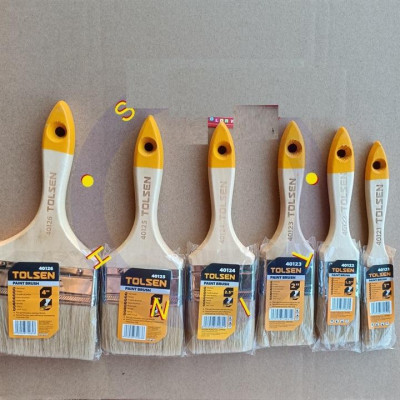 CÂY CỌ SƠN TOLSEN (TỪ 1