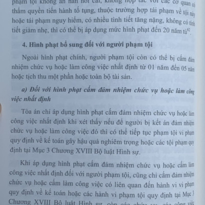 Bình luận Bộ Luật Hình Sự năm 2015 (Bộ 11 cuốn của tác giả Đinh Văn Quế)