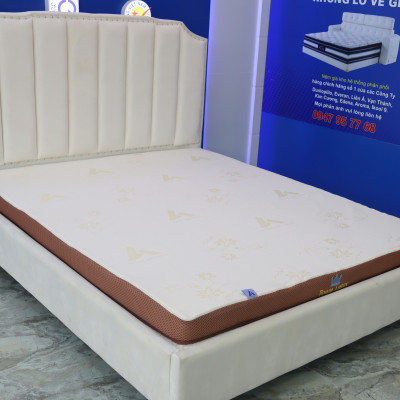 Đệm cao su Aroma Foam Latex