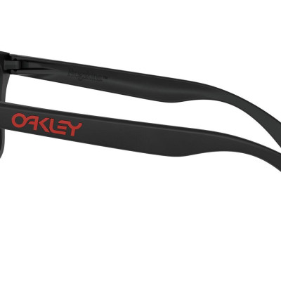 Mắt Kính Oakley Frogskins PRIZM - OO9245 924563
