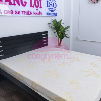 Nệm cao su TL Gold Latex phẳng 