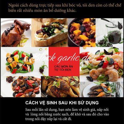 Máy Làm Tỏi Đen TIROSS TS904 - Hàng chính hãng