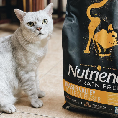 Thức Ăn Hạt Cho Mèo Nutrience Subzero Bao 500g & 2.27kg Vị Gà Tây Và 6 Loại Cá Biển Trái Cây Rau Củ Quả