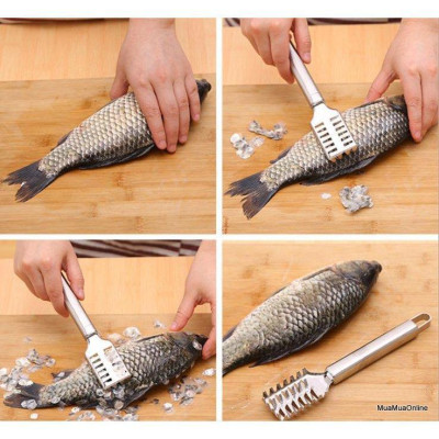 Dụng Cụ Đánh Vảy Cá Inox Cao Cấp