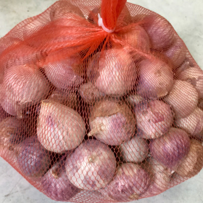 TỎI CÔ ĐƠN CỦ TO - SIZE TRUNG