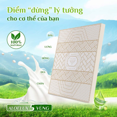Nệm Cao Su Kim Cương 5 ZONE ALOE