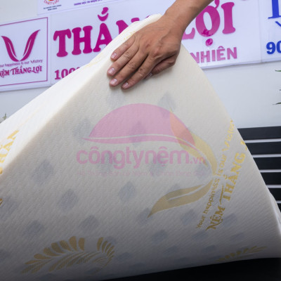 Nệm cao su TL Gold Latex phẳng 