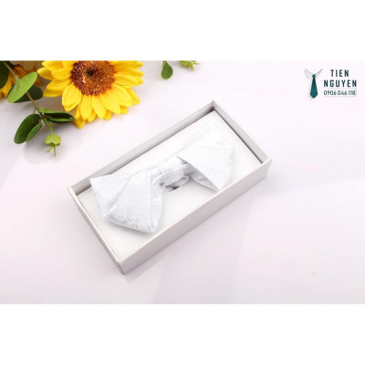 Nơ chú rể, MC, ca sỹ cao cấp Full box xếp chéo mới.