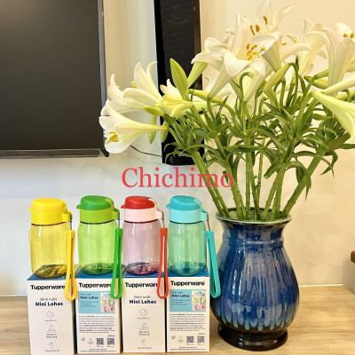 Bình Nước Tupperware Mini Lohas 350ml - Hàng Chính Hãng