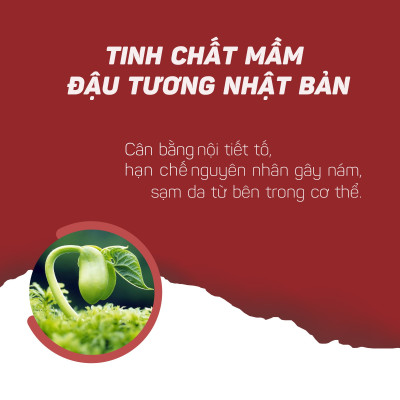 [Combo 6 món] bộ dưỡng da cơ bản: Nước tẩy trang 145ml + Sữa rửa mặt 50g + Nước hoa hồng 145ml + Kem chống nắng 50g và kem dưỡng da ban đêm 10g + Vi tảo lục 60 viên [Sắc Ngọc Khang Official]