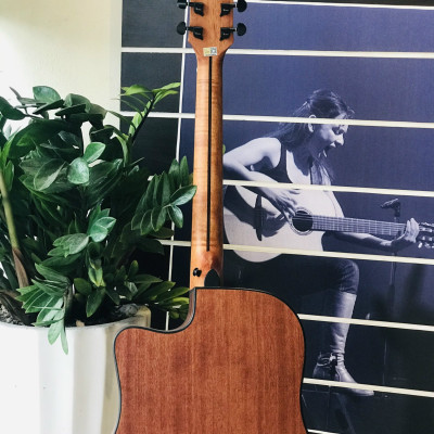 Đàn Guitar Acoustic Rosen G15