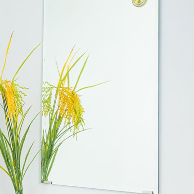 Gương soi cao cấp KIBATH KB201