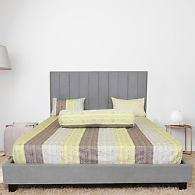 Bộ drap gối cotton phối màu Hometex