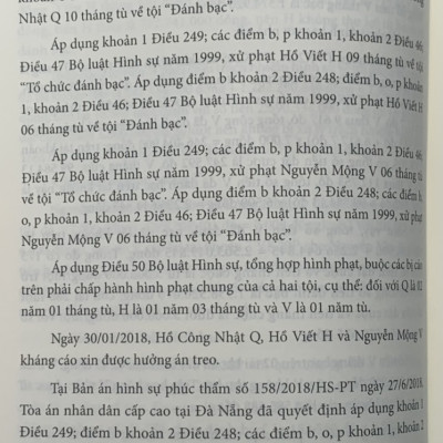 Án lệ Việt Nam - Phân tích và luận giải (tập 1 và 2)