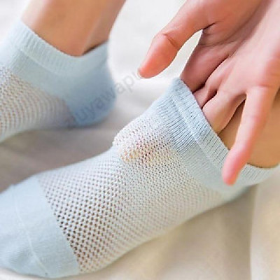 Combo 5 đôi Tất lưới nữ thông hơi