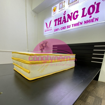 Nệm cao su TL Gold Latex gấp 3 