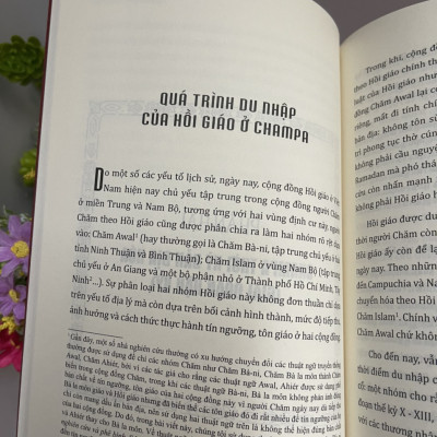 NAGARA CHAMPA – NHỮNG PHÁC THẢO VỀ LỊCH SỬ VÀ NỀN VĂN MINH – Đổng Thành Danh – Tri Thức Trẻ Books - NXB Khoa Học Xã Hội.