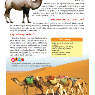 Atlas Động Vật - Vương Quốc Động Vật - Bìa Cứng (Tái Bản 2023)