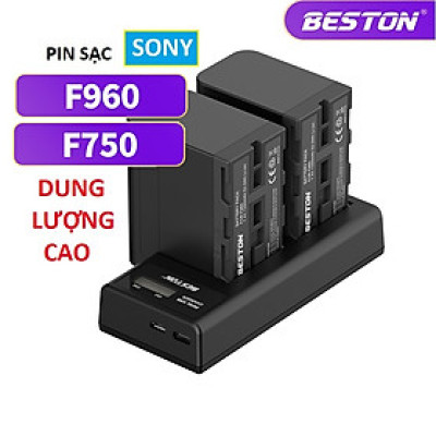 Bộ Pin F960/F750 Sạc Beston Dùng Cho Máy Ảnh Sony 6D 70D 60D 80D 5D3 5D2 6D2 7D2 5DSR 90D NX5 TRV1 - hàng nhập khẩu