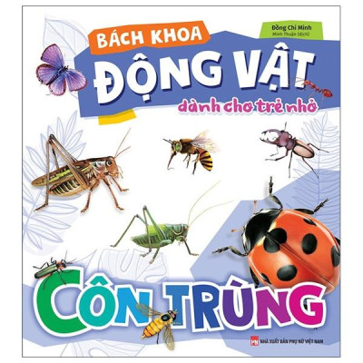 Sách - Bách Khoa Động Vật Dành Cho Trẻ Nhỏ - Côn Trùng (Tái Bản 2025)