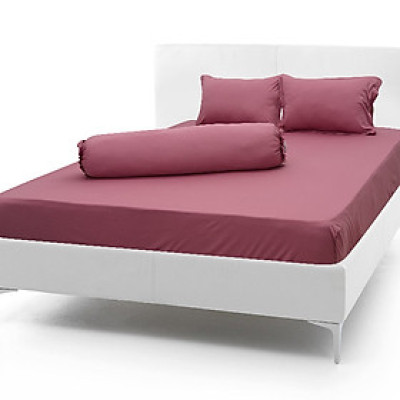 Bộ Drap gối  Thun Hàn Quốc 4 món { drap và 3 áo gối}
