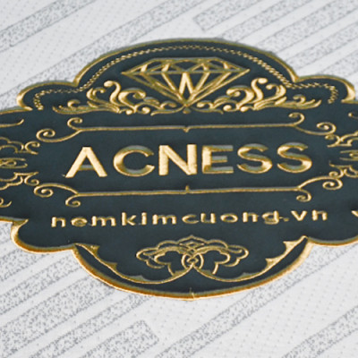 Nệm bông ép Kim Cương Acness 100x200x9cm (Màu ngẫu nhiên)