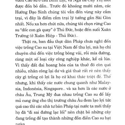 Kỹ Thuật Trồng Cây Cao Su Với Diện Tích Nhỏ
