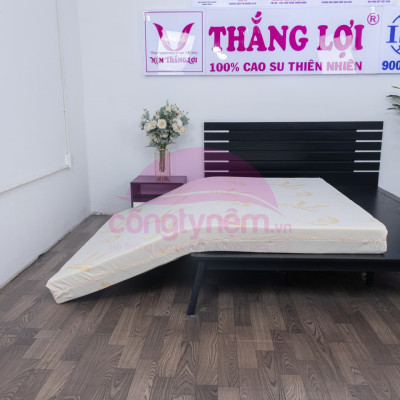 Nệm cao su TL Gold Latex phẳng 