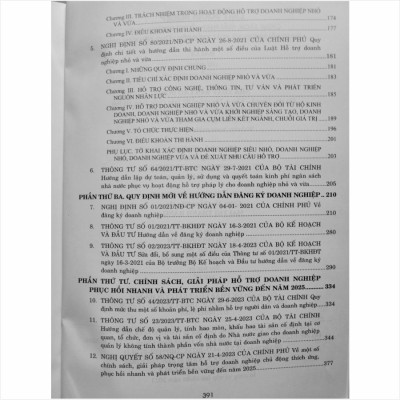 Luật Doanh Nghiệp – Chính Sách, Giải Pháp Hỗ Trợ Doanh Nghiệp Phục Hồi Nhanh và Phát Triển Bền Vững Đến Năm 2025 (V2340D)