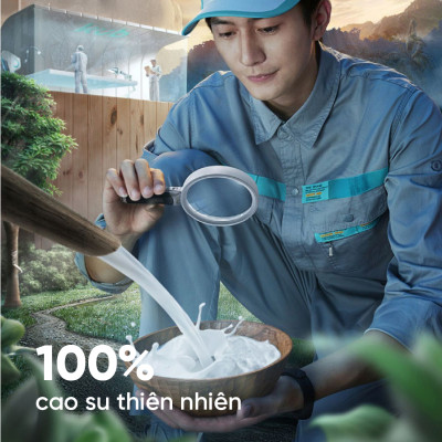 Nệm Cao Su Vạn Thành Standard VTCS1615 (160 x 200 x 15 cm)