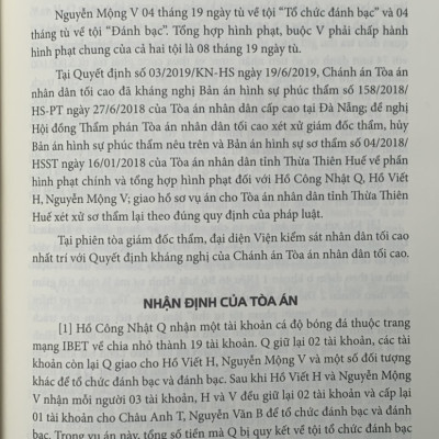 Án lệ Việt Nam - Phân tích và luận giải (tập 1 và 2)
