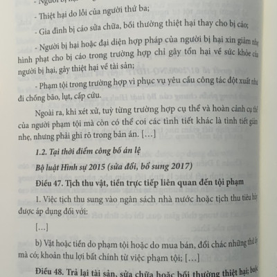 Án lệ Việt Nam - Phân tích và luận giải (tập 1 và 2)