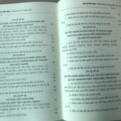 Án lệ Việt Nam - Phân tích và luận giải (tập 1 và 2)