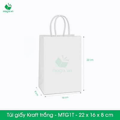MTG1 MTG1T - 22x16x8 cm - Combo 200 túi giấy Kraft Nhật cao cấp