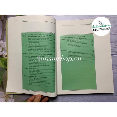 Phát triển hoàn thiện giao tiếp cho trẻ tự kỷ