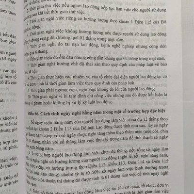 500 Câu Hỏi Và Tình Huống Giải Quyết Các Vướng Mắc, Tranh Chấp Lao Động Theo Bộ Luật Lao Động Năm 2019