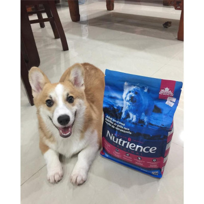 Thức Ăn Cho Chó - Size Nhỏ Trưởng Thành Trên 12 Tháng Nutrience Original Bao 2,5kg - Thịt Gà, Rau Củ, Trái Cây