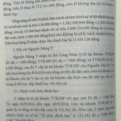 Án lệ Việt Nam - Phân tích và luận giải (tập 1 và 2)