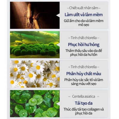 Kem Bôi Xóa Mờ Sẹo Thâm, Sẹo Lồi, Mụn Và Bỏng Hiệu Quả Nhanh Chóng Cải Thiện Làn Da Rõ Rệt