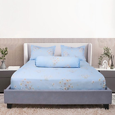 Bộ drap gối Tencel Luxury Hometex / tencel 40 sợi (tấm drap và 3 áo gối )