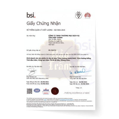 Trầm Thanh Cao Cấp 20cm – Hộp Vàng 20g – Bảo Trầm | Hương Trầm Tự Nhiên – Sạch – Thư Giãn