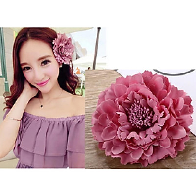 HOA CÀI TÓC ĐI BIỂN