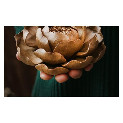 Hoa gốm cắm trầm thủ công nghệ thuật DDT29