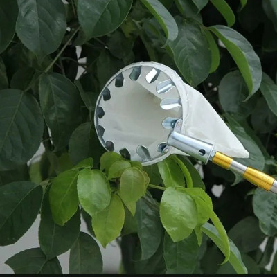 Vợt, Sào, Gậy Inox KUNBE Siêu Chắc, Nhiều Kích Thước Kèm Đầu Hái Trái Cây Đường Kính 16cm, Dụng Cụ Hái Quả Trên Cao