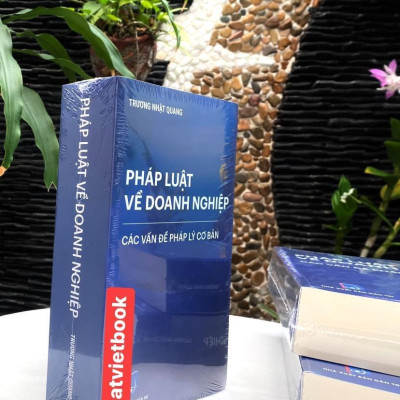 Pháp Luật  Về Doanh Nghiệp Các Vấn Đề Pháp Lý Cơ Bản