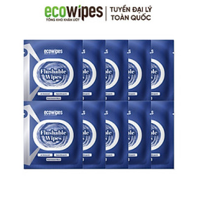 Khăn Ướt Flushable EcoWipes Gói 1 Tờ Khăn Lau Vệ Sinh Tự Phân Hủy Trong Nước 